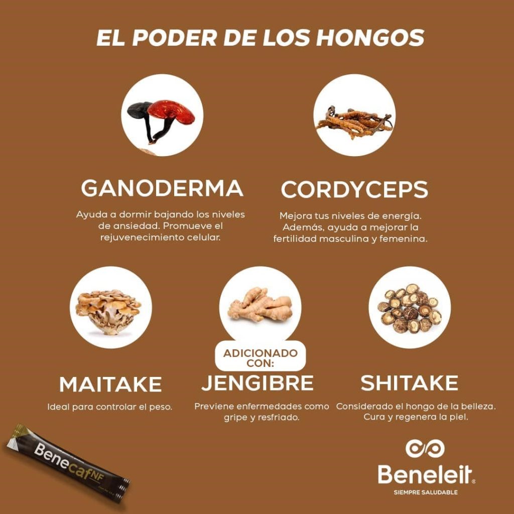 Puede ser una imagen de hongos shiitake y texto que dice "EL PODER DE LOS HONGOS GANODERMA Ayuda a dormir bajando los niveles de ansiedad. Promueve rejuvenecimiento celular. CORDYCEPS Mejora niveles de energia. Además, ayuda mejorar fertilidad masculina femenina. MAITAKE Ideal ρara controlar el peso. ADICIONADO CON: JENGIBRE SHITAKE Previene enfermedades como Considerado hongo de la belleza. gripe resfriado. V piel. Bene Bene cO Beneleit. SIEMPRESALUDABLE SIEMPRE SALUDABLE"