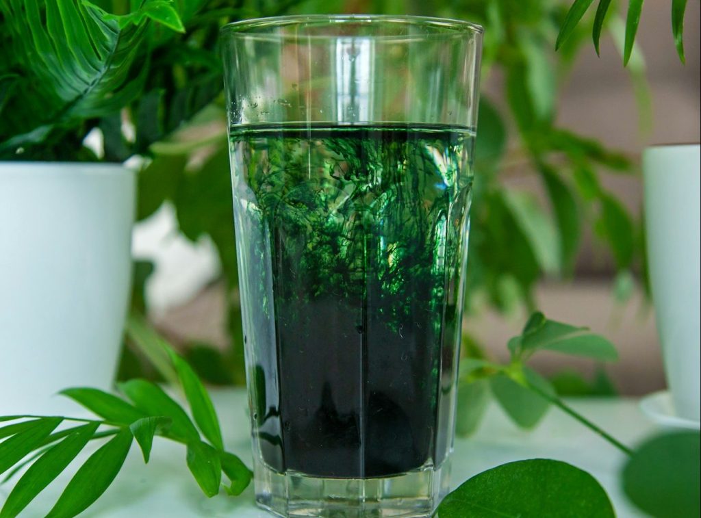 liquid chlorophyll in a glass. Selective focus.