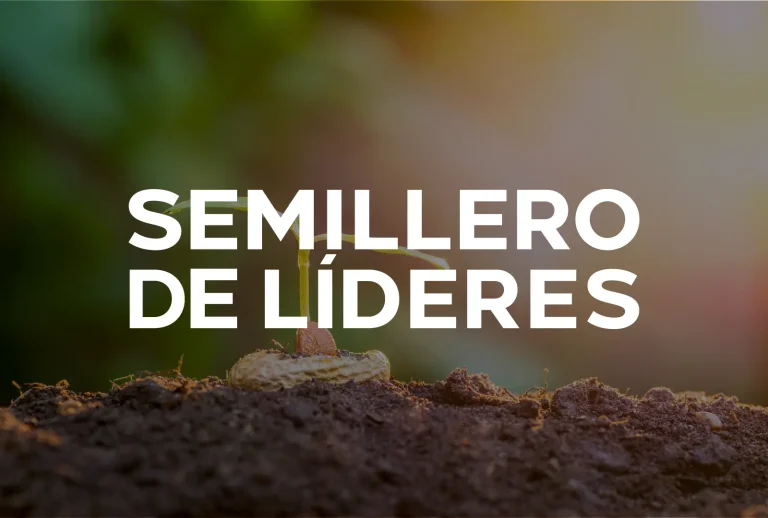 SEMILLERO DE LÍDERES