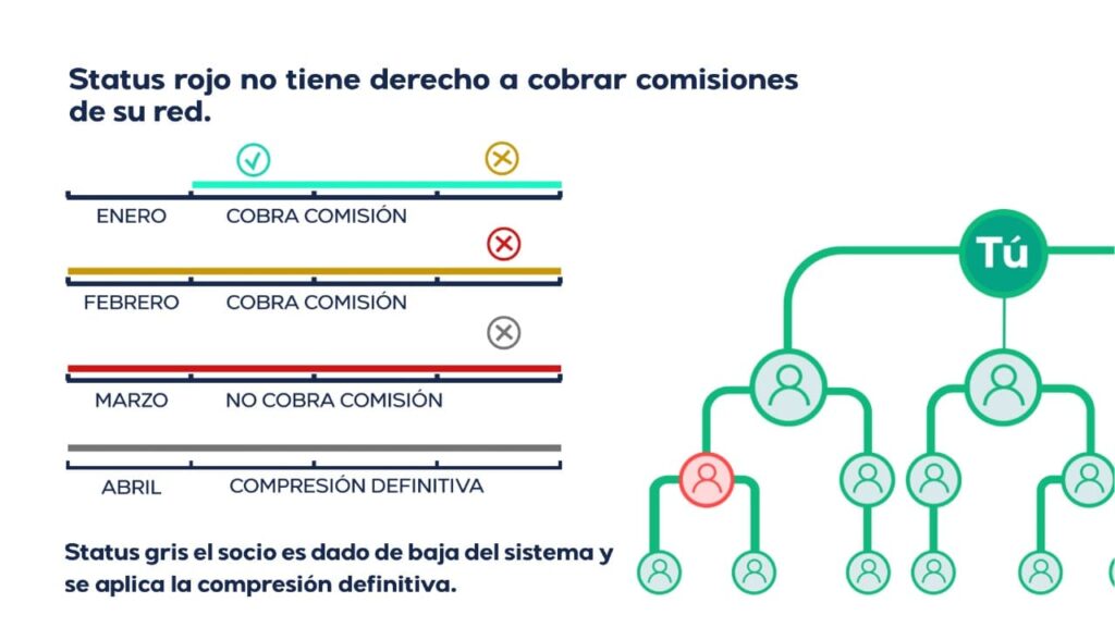 compresión dinamica
y permanente